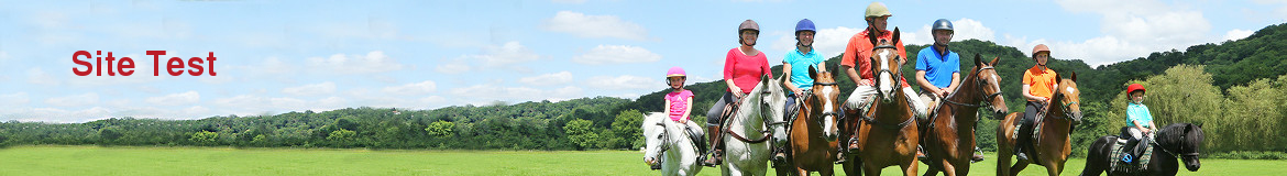 Site Test